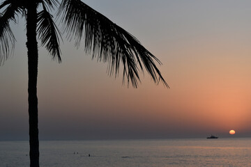 sunset on the beach and palm tree