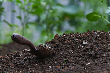 土に刺さった移植ごて