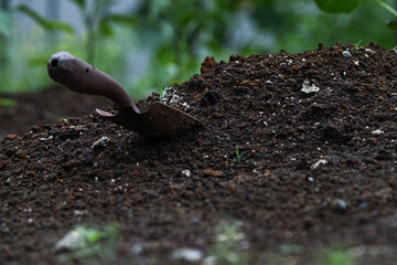 土に刺さった移植ごて