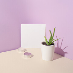 Creative copy space idea with a cactus and candles on pastel purple and beige background. Minimalistic arrangement, retro summer vibes concept with a plant and white paper card.
