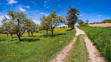 Along the premium hiking trail 