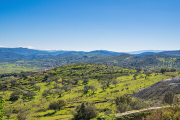Fototapeta na wymiar European spring landscape with Olives plants in Albania