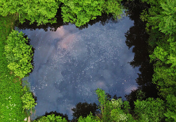 Top view of a dark square lake in the middle of the forest in the evening