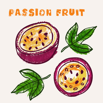 Passion fruit line art and color hand-drawn vector illustration. Rough crayon strokes doodle in an expressive loose coloring book style