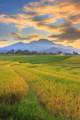 Fototapeta na wymiar Indonesian landscape view with mountains and sunrise sky in the morning in a small village rice field