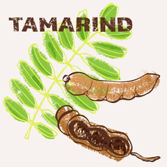Tamarind line art and color hand-drawn vector illustration. Rough crayon strokes doodle in an expressive loose coloring book style