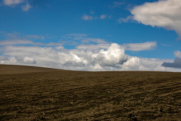 clouds over the field