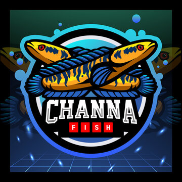 Channa maru fish mascot. esport logo design
