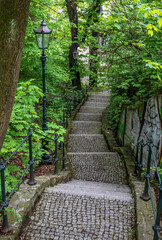 footpath in the park
