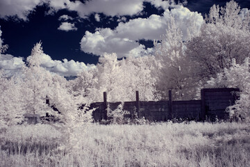 infrared photography - ir photo of landscape with tree under sky with clouds - the art of our world and plants in the infrared camera spectrum