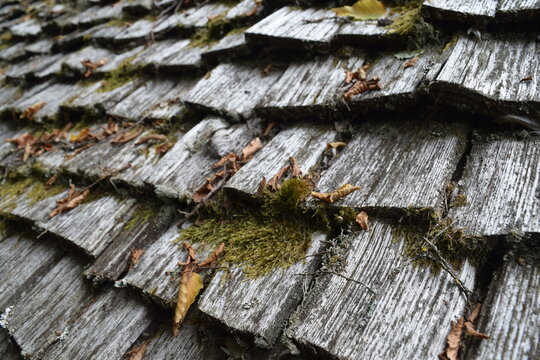 Tavaillons toiture en bois travail du bois m&eacute;tier ancien architecture toit mousse mat&eacute;riau
