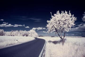 infrared photography - ir photo of landscape with tree under sky with clouds - the art of our world...