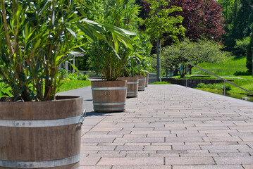 Hintereinander angeordnete, große Blumenkübel auf einer Promenade, die mit Palmen bepflanzt sind