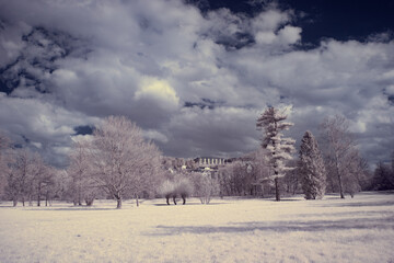 infrared photography - ir photo of landscape with tree under sky with clouds - the art of our world...