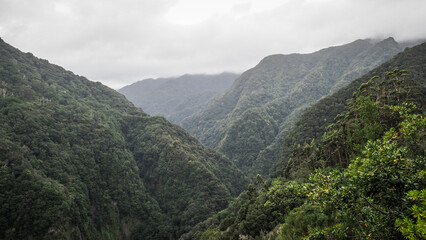 Naklejka premium Madeira is a Portuguese island with magnificent nature and hiking trails.