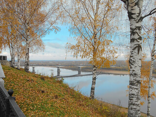 autumn landscape