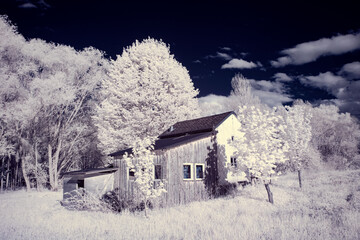 infrared photography - ir photo of landscape with tree under sky with clouds - the art of our world...