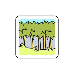 Tropical forest line color icon. Isolated vector element. Outline pictogram
