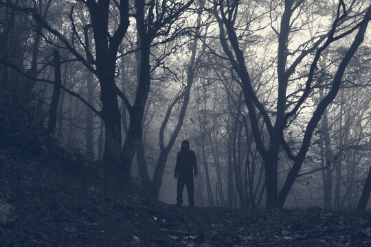 A hooded scary figure with glowing eyes. Standing in a spooky winter forest on a foggy day. With a monochrome edit