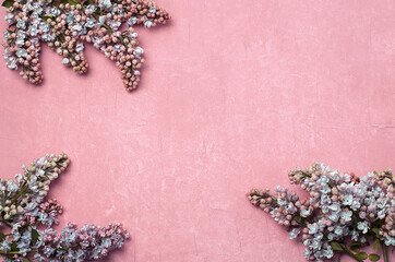 Small buds of flowers on a pink background, template, place for text. Copy space. Background from flowers.Background for covers, lilac, lavender.Spring mood, holidays and gifts.Many flowers.