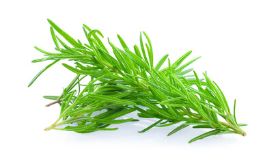 Rosemary isolated on white background
