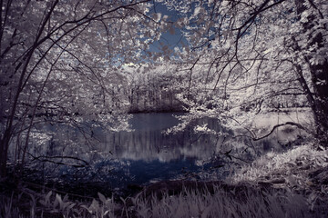 infrared photography - ir photo of landscape with tree under sky with clouds - the art of our world...