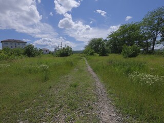fresh green landscape under blue sky with clouds