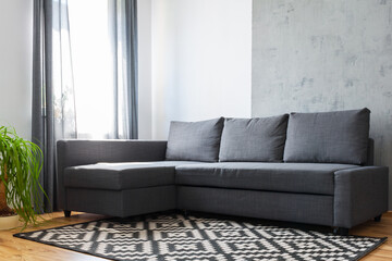 Gray sofa in an industrial living room. Gray concrete wall. Geometric woven rug. Window with daylight.
