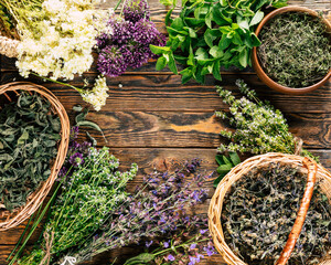 Harvesting of medicinal herbs. Alternative medicine. Ayurveda