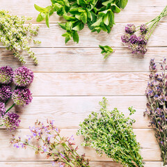 Harvest of medicinal plants. Healing spicy herbs on a white wooden background. Alternative medicine. Ayurveda