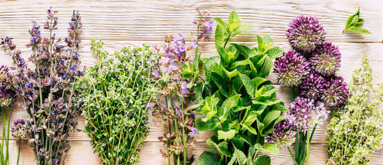 Harvest of medicinal plants. Healing spicy herbs on a white wooden background. Alternative medicine. Ayurveda