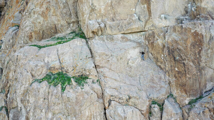 A man climbs a rock. Active recreation and sports. Mountaineering with equipment. Extreme outdoor activities. High rocks of Tamgaly TAS, Kazakhstan. Top view from a drone. Green grass.