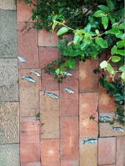 the brick wall with small fish decoration and green leaves design for home decoration lifestyle