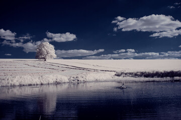 infrared photography - ir photo of landscape with tree under sky with clouds - the art of our world...