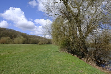Naturschutzgebiet Mainaue bei Augsfeld, Landkreis Hassberge, Unterfranken, Franken, Bayern, Deutschland