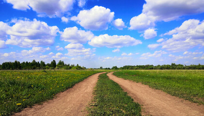 Country road in a field with green grass, with blue sky and white clouds
