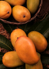 Fresh delicious sweet mangoes on a green leaf and Golden grass background.