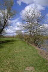 Naturschutzgebiet Mainaue bei Augsfeld, Landkreis Hassberge, Unterfranken, Franken, Bayern, Deutschland
