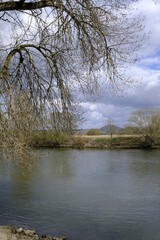 Naturschutzgebiet Mainaue bei Augsfeld, Landkreis Hassberge, Unterfranken, Franken, Bayern, Deutschland