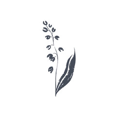 Ink drawn botanical illustration, hand drawn floral element