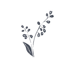 Ink drawn botanical illustration, hand drawn floral element