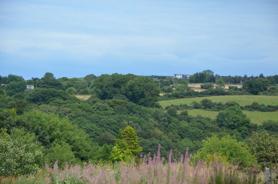 Ireland Landscape