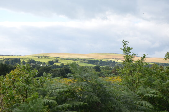 Ireland Landscape