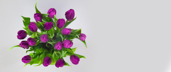Bunch of lilac tulips. Round bouquet of tulips on a grey background. Place for your work.
