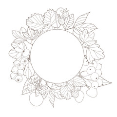vector frame with garden berries