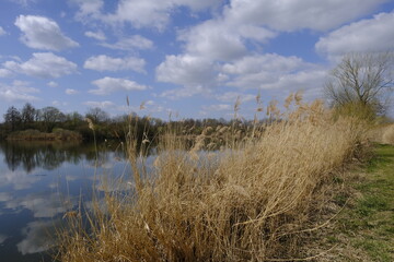 Sander Baggerseen im Naturschutzgebiet Mainaue bei Augsfeld, Landkreis Hassberge, Unterfranken, Franken, Bayern, Deutschland