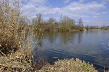 Sander Baggerseen im Naturschutzgebiet Mainaue bei Augsfeld, Landkreis Hassberge, Unterfranken, Franken, Bayern, Deutschland