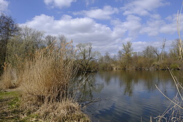 Sander Baggerseen im Naturschutzgebiet Mainaue bei Augsfeld, Landkreis Hassberge, Unterfranken, Franken, Bayern, Deutschland