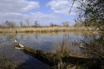 Sander Baggerseen im Naturschutzgebiet Mainaue bei Augsfeld, Landkreis Hassberge, Unterfranken, Franken, Bayern, Deutschland