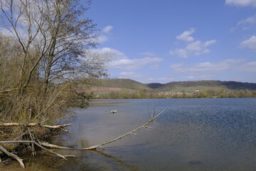 Sander Baggerseen im Naturschutzgebiet Mainaue bei Augsfeld, Landkreis Hassberge, Unterfranken, Franken, Bayern, Deutschland.